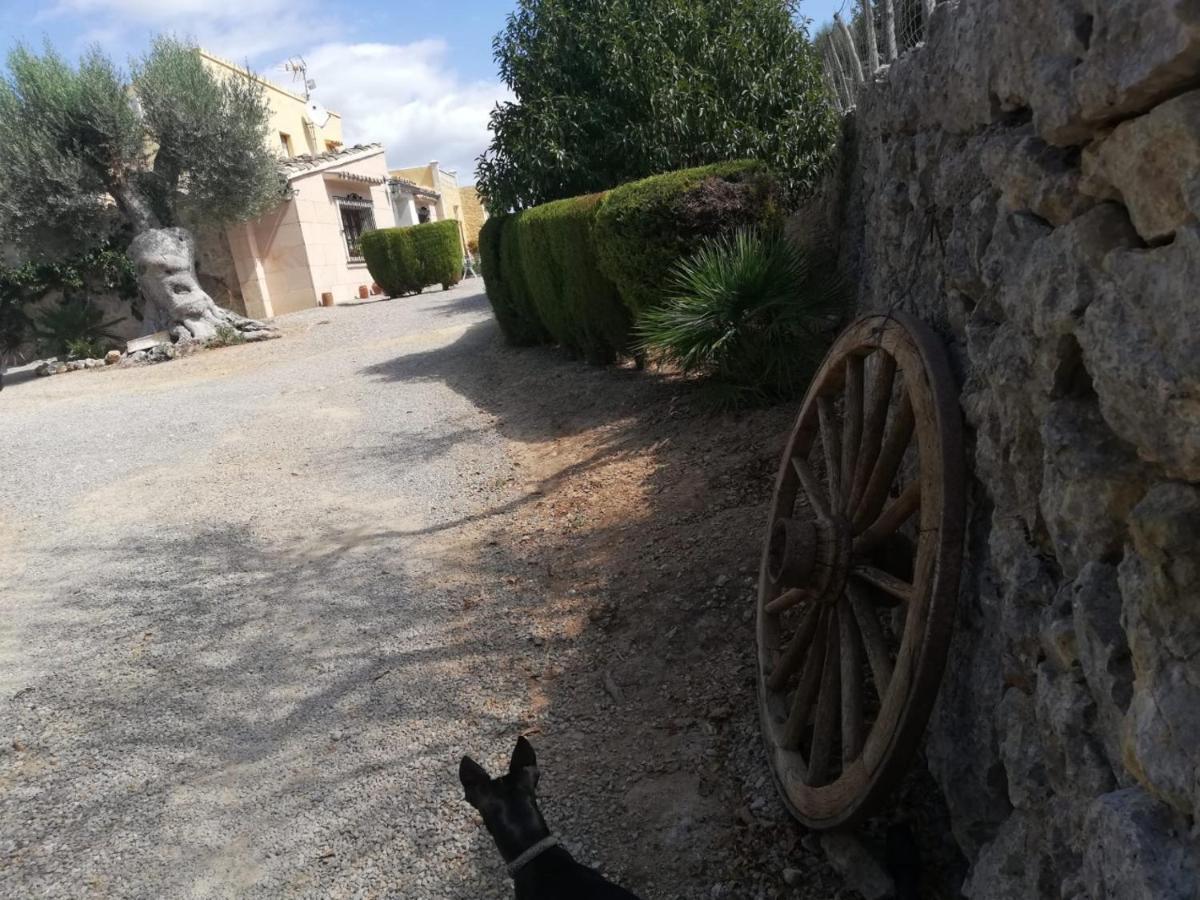 Rebasso * Inca (Mallorca)
