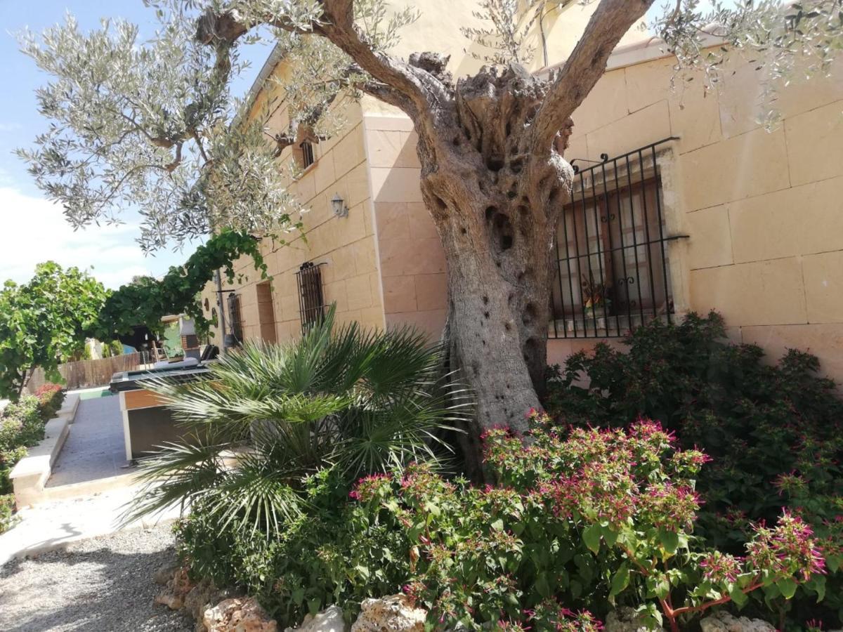 Rebasso Inca (Mallorca)