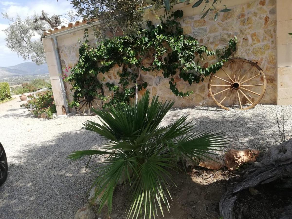 Villa Rebasso Inca (Mallorca)